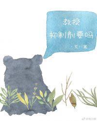 旷野里的星讲的什么