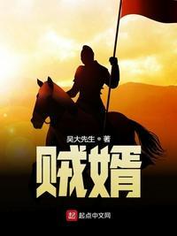 贼婿全文免费阅读