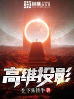 高维投影学说从何而来