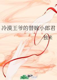 冷漠王爷的替嫁小郎君类似