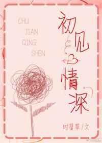 初见情深免费阅读