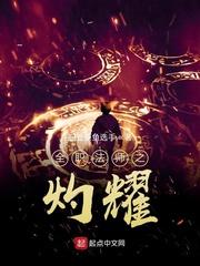 全职法师之光耀万丈