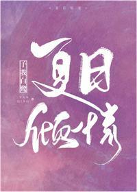 夏日倾情讲的什么