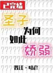 圣子为何如此娇弱by咕彦 ...