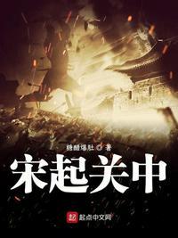 宋起关中 第108章