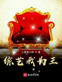 综艺我为王TXT