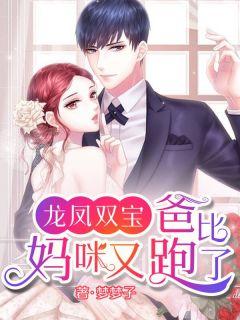 龙凤双宝爸比妈咪又跑了全文免费阅读