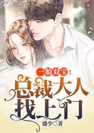 一胎双宝总裁大人找上门找上门