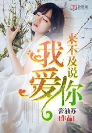 来不及说我爱你电视剧全集免费观看