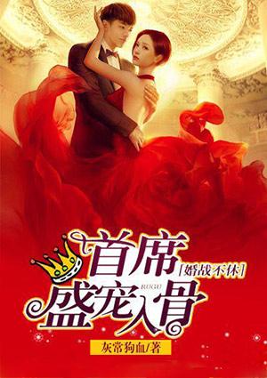 婚战不休首席盛宠入骨