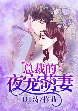 总裁的夜妻百度阅读