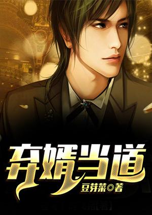 弃婿当道txt免费全文