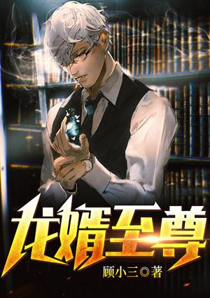 龙婿至尊陈阳苏妙免费笔趣阁