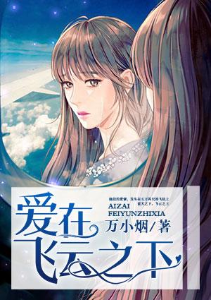 爱在飞之上
