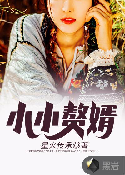 小小赘婿更大天地