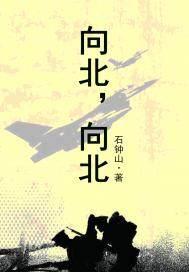 向北向北歌曲