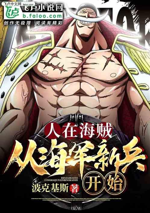 人在海贼从海军新兵开始百度 百度
