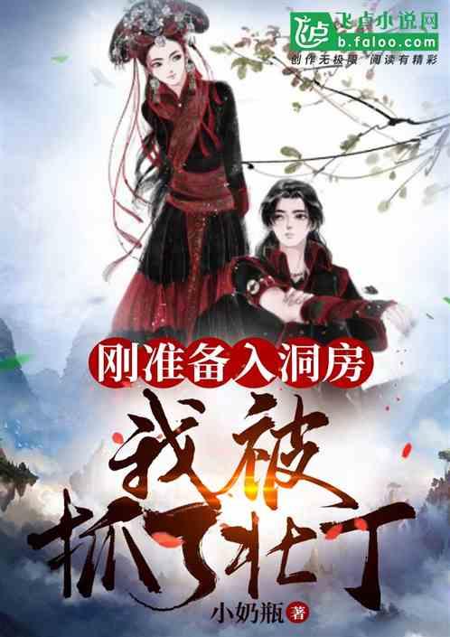 我被抓了壮丁免费无广告