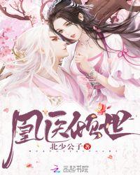 凰医倾世 北少公子