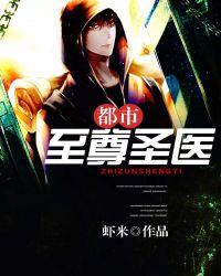 都市至尊圣医叶修