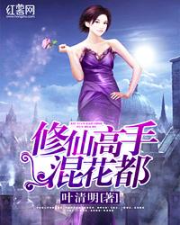 修仙高手混花都2