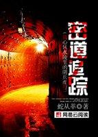 密道追踪好看么