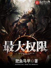 最大权限百度百科