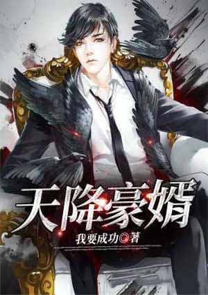 天降豪婿林隐张琪沫全文免费阅读