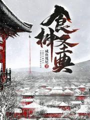 食神圣典免费阅读