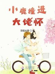 小鹿撞心上晋江