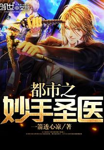 都市妙手圣医 宅春秋