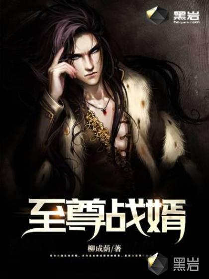 至尊战婿柳成荫l