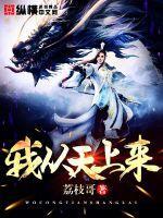 我从天上来 啄鸥