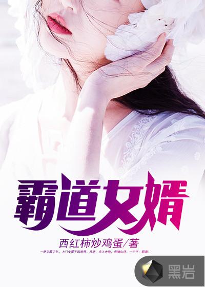 霸道女婿电视剧