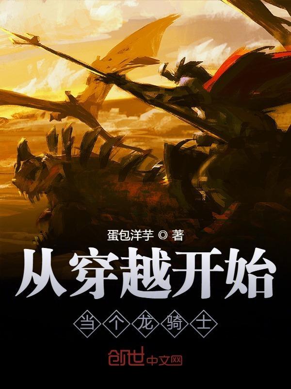 龙骑士穿越当飞行员的