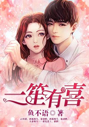 一笙有喜齐未身份