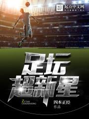 足坛巨星txt
