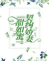 契约闪婚情