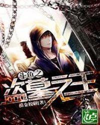 盗墓之盗王系统