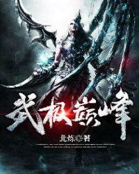 武极巅峰TXT全集