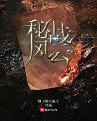 秘战风云剧情介绍|剧情简介