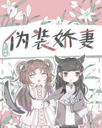 伪装娇妻全集