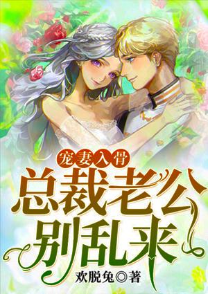 总裁老公疼入骨TXT格式