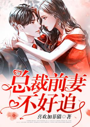 总裁追前妻系列