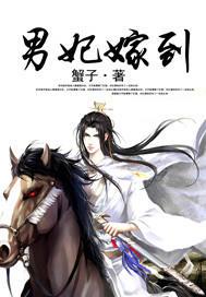 男妃嫁到结局
