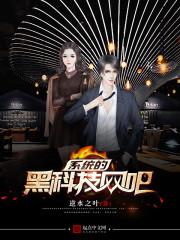 系统的黑科技网吧王女