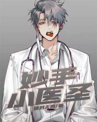 妙手小医圣马 免费阅读