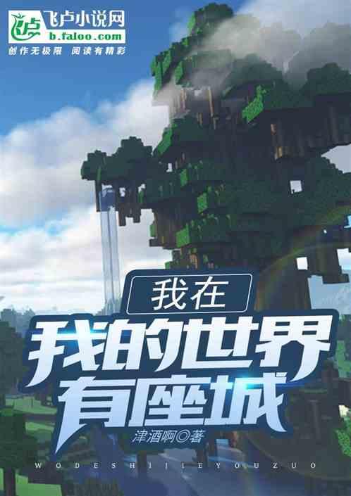 我的世界城市系列