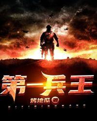 第一兵王于枫免费听书全集