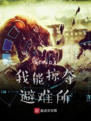 掠夺避难所游戏